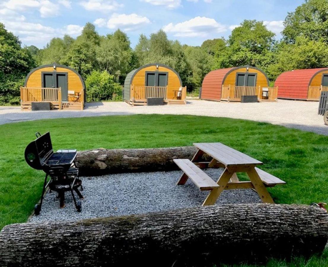 Earth Pod 2 Pet Friendly Neath Exterior foto